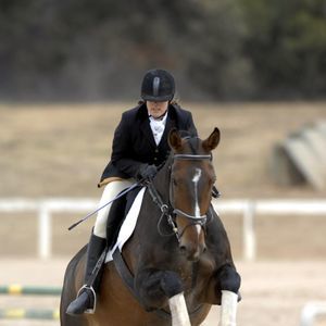 Meet your Posher, Lynden